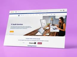 Audit services website designers