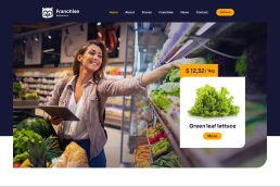 Online grocery store website developers