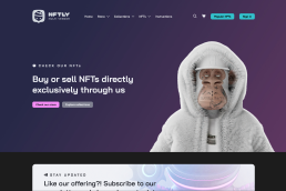NFT marketplace website developers