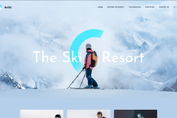 Ski resort website developers