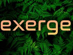 Exerge - Your web and mobile development partner
