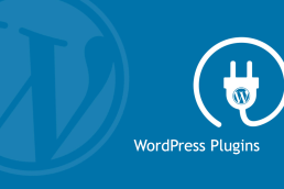 WordPress Plugin Developers